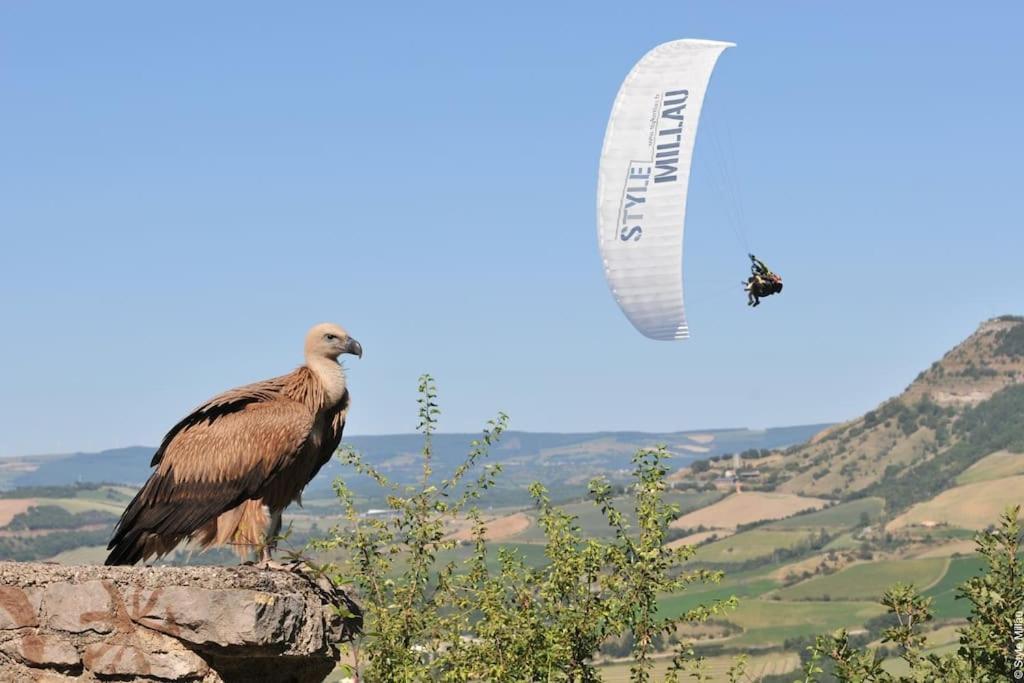 Confort, Wifi Et Garage Millau Exteriér fotografie